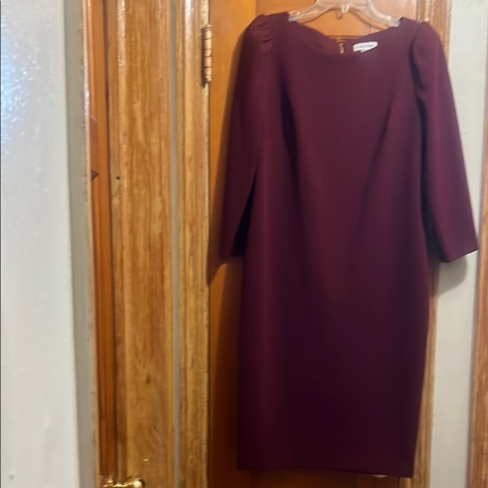 Calvin Klein Burgundy Dress